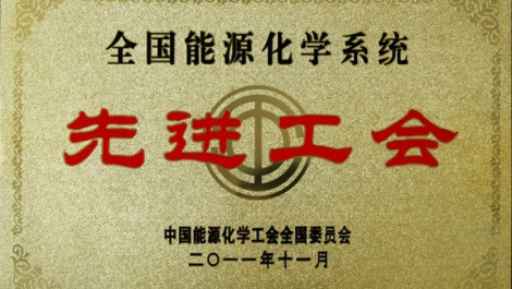 集团公司工会被授予全国能源化学系统先进工会荣誉称号